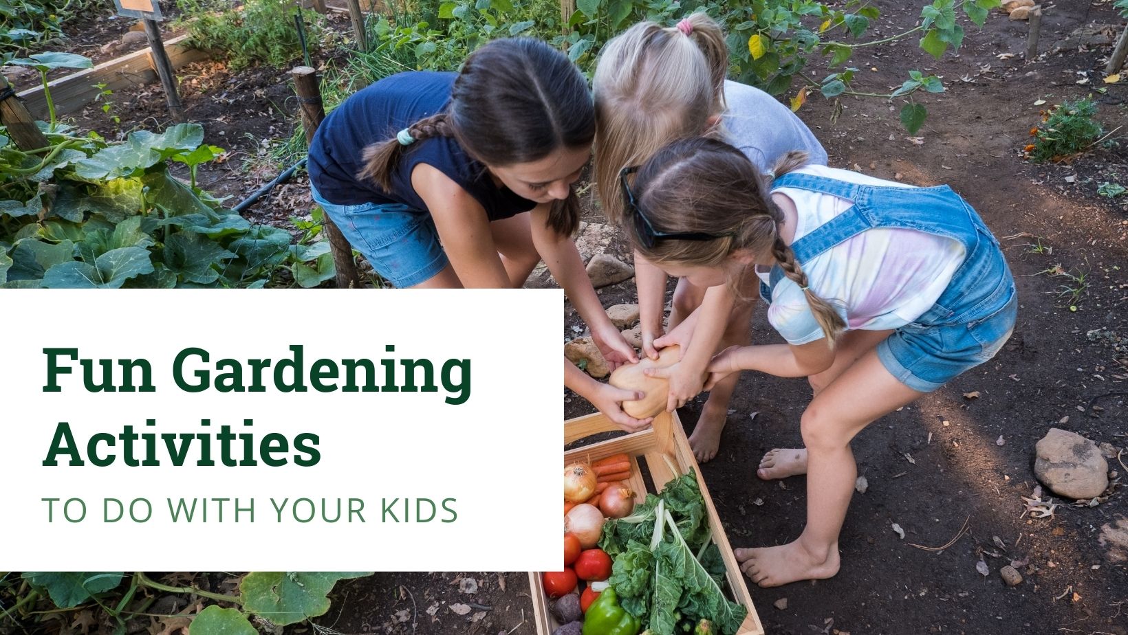 Kids playing in the garden